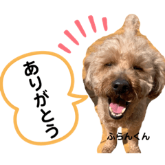 [LINEスタンプ] ふらんくん