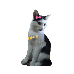 ねこの敬語