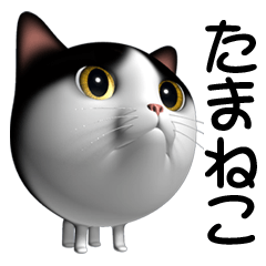 [LINEスタンプ] 玉ネコ