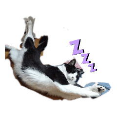 [LINEスタンプ] 我が家のごまち①