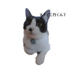 [LINEスタンプ] 我が家のごまち②