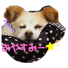 [LINEスタンプ] poncoro
