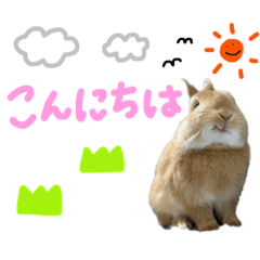[LINEスタンプ] うさぎのおもち2