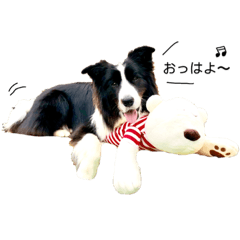 [LINEスタンプ] ボーダーコリー Border collie みく＆福 2