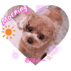 [LINEスタンプ] プードルのてぃーちゃん2