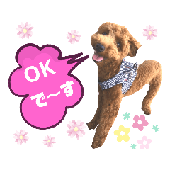 [LINEスタンプ] ハッピーそうすけ