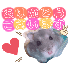 [LINEスタンプ] ハムスターのシュガーさん！②