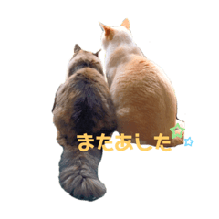 [LINEスタンプ] るな と もっぷ