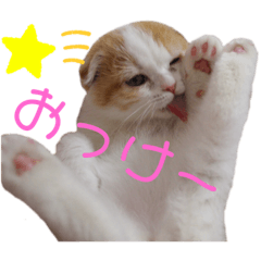 [LINEスタンプ] こももちゃんBaby