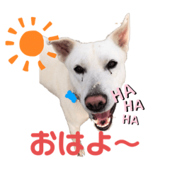 [LINEスタンプ] モコしろ参上〜しろちゃん編〜