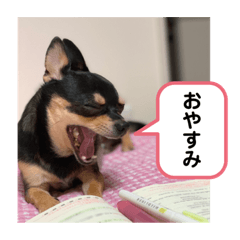 [LINEスタンプ] うるるのスタンプだyo