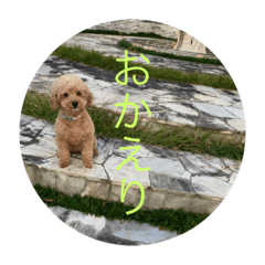 [LINEスタンプ] 7匹の毛玉