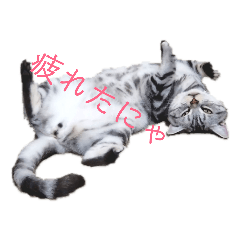 [LINEスタンプ] レオちゃんスタンプ①