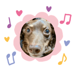 [LINEスタンプ] ころころこころさん①