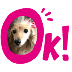 [LINEスタンプ] 仲良し♡なな＆とと