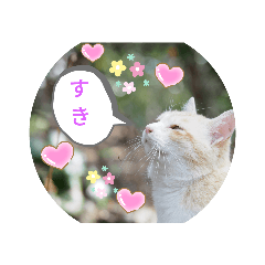 [LINEスタンプ] 猫な振る舞い2