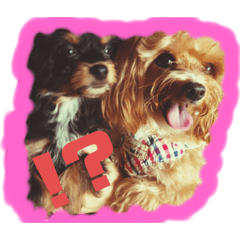 [LINEスタンプ] Jenny ＆ Mini