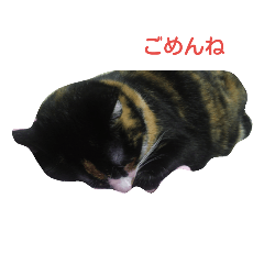 [LINEスタンプ] 豊ちゃん本ちゃん