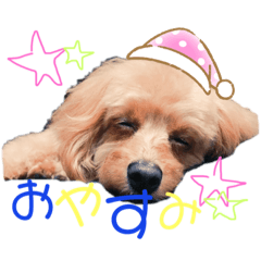[LINEスタンプ] めろんのすたんぷです。