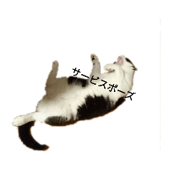 [LINEスタンプ] 我が家のごまち③